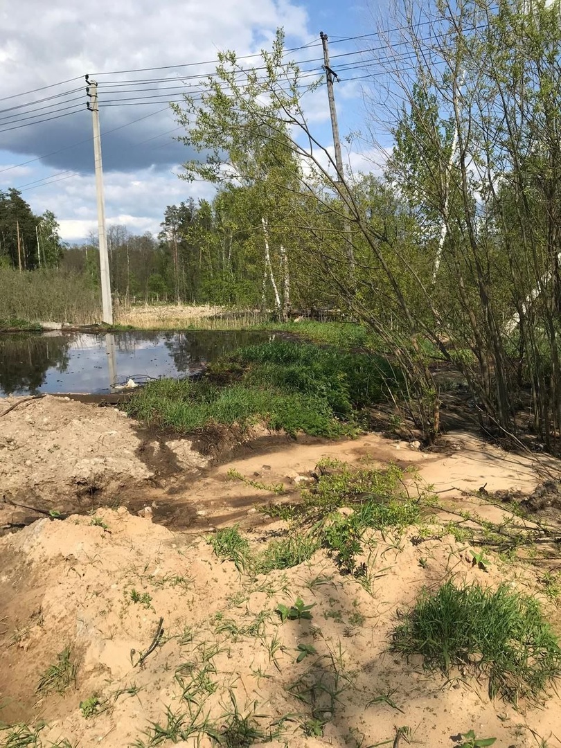 Владимирский природоохранный прокурор требует возбудить уголовное дело по  факту гибели рыбы в озере Фёдоровское | 17.06.2024 | Владимир - БезФормата