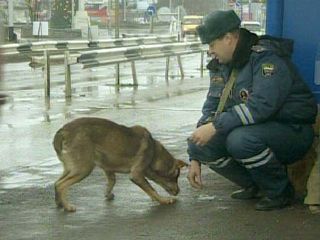 cop_dog