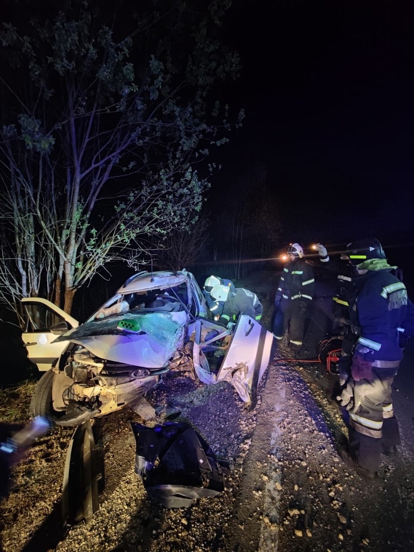 Во Владимирской области 2 автомобиля столкнулись с лосем | 02.05.2024 |  Владимир - БезФормата