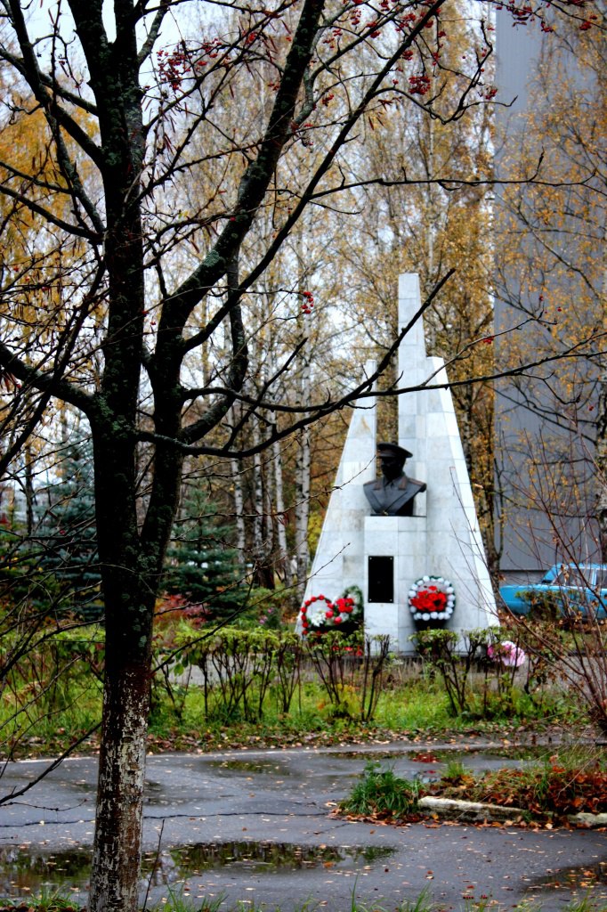 Г радужный владимирской области фото