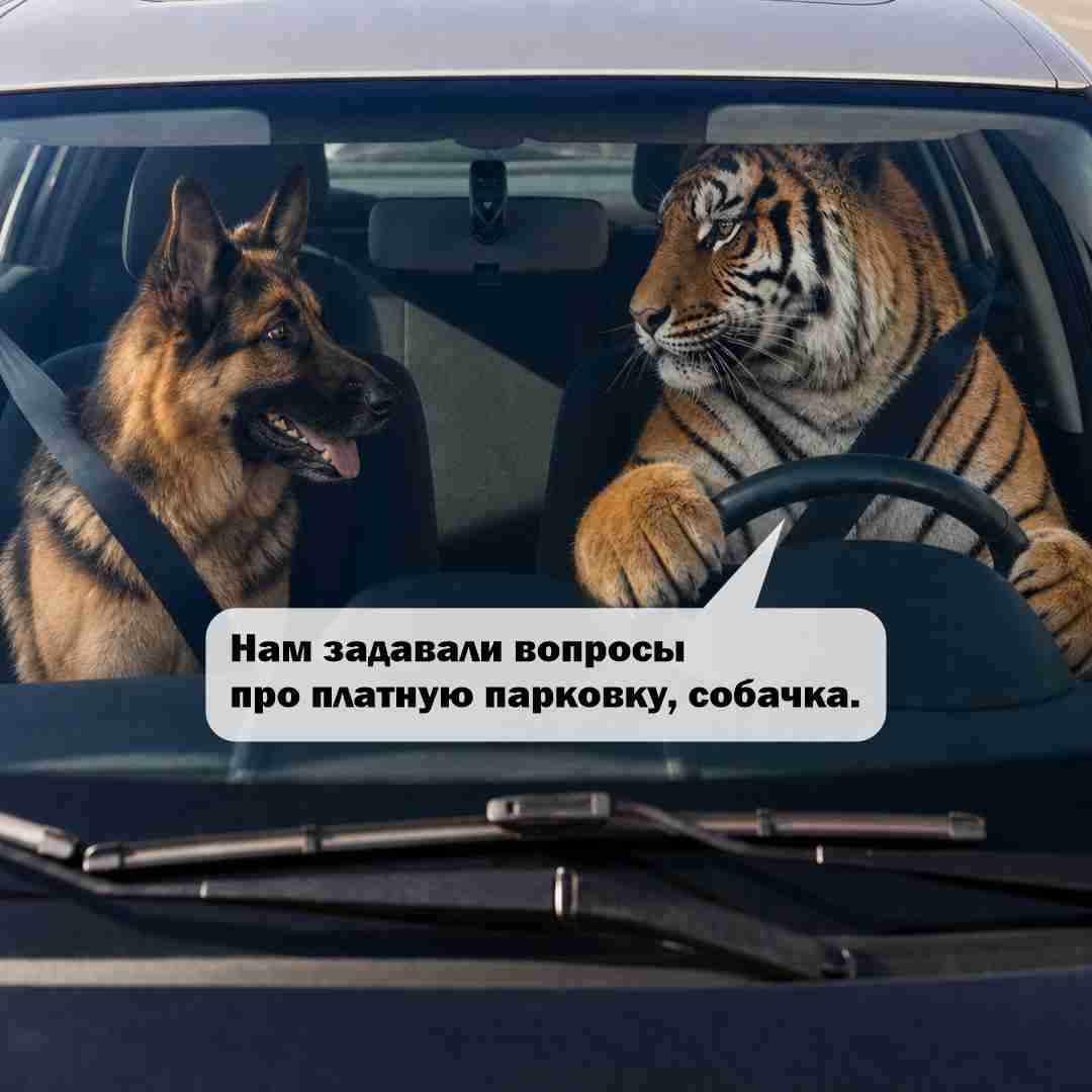 Sobachka2.jpg