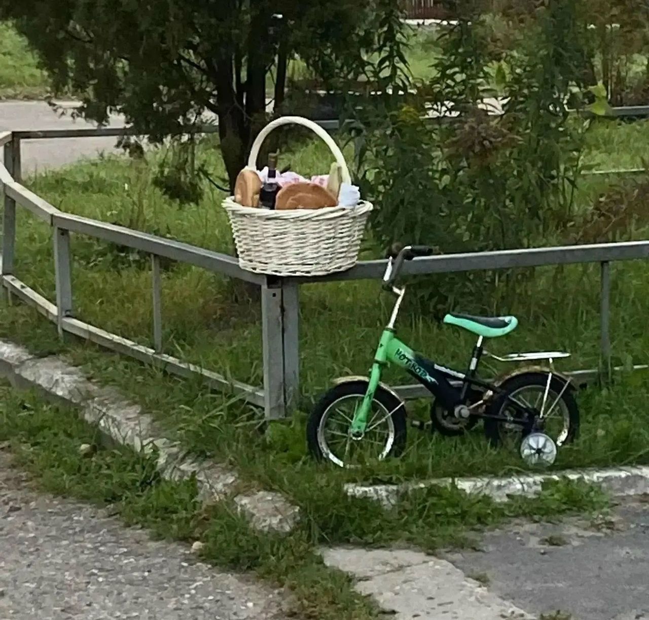 kMSW8Tv3SB14wz.jpg