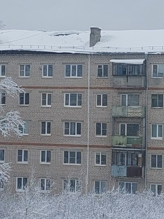 photo_2026-02-15_13-36-51.jpg